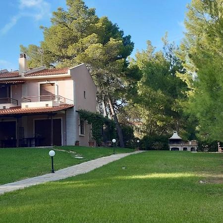 Sithonia Alekos Luxury Experience Apartamento Metamorfosi  Exterior foto