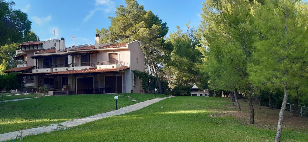 Sithonia Alekos Luxury Experience Apartamento Metamorfosi  Exterior foto