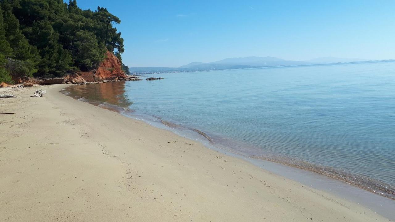 Sithonia Alekos Luxury Experience Apartamento Metamorfosi  Exterior foto